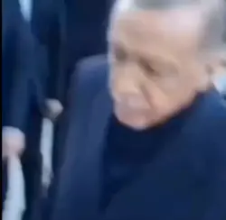 tayyip