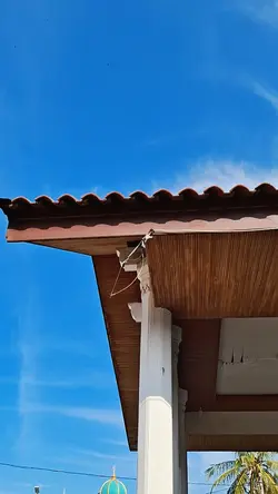 3 clips video