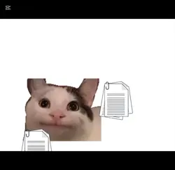 KSKSKSKS