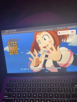 erm