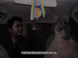 kangaroo in car ride