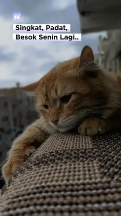 Besok Senin Lagi