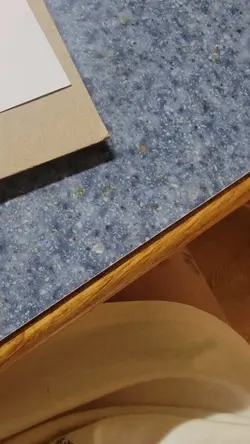 this dog...