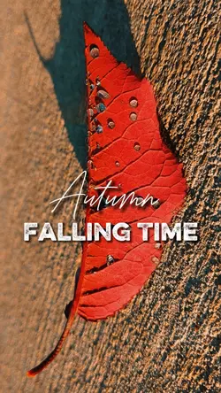 Autumn 