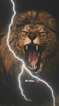 Lion Trend 