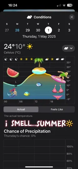 Summer🌺