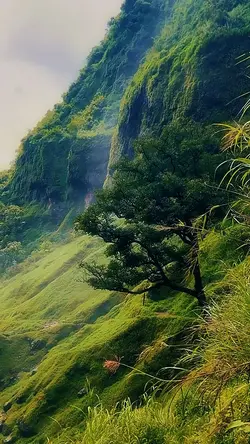 bundok