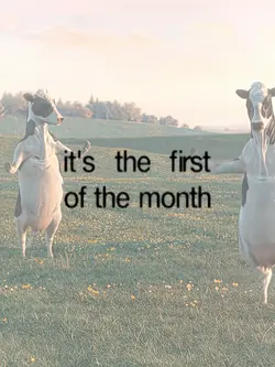 First of the month