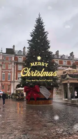 Merry Christmas 