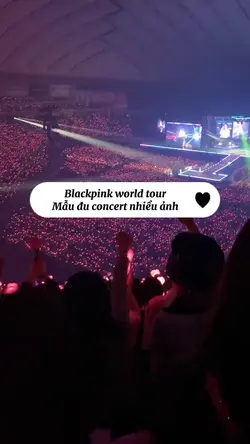 Bornpink world tour