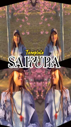 3D overlay Template 