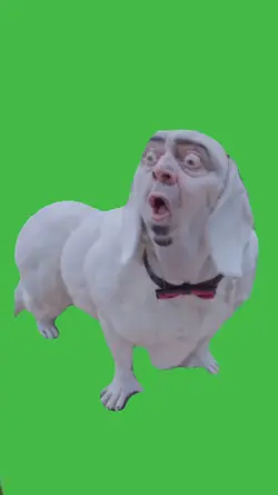Dog barking meme