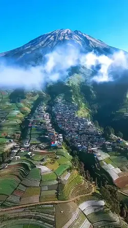 mangu cinematic