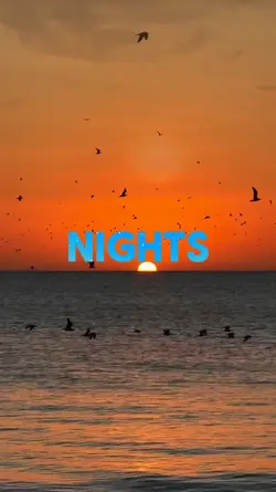 THE NIGHTS | AVICII