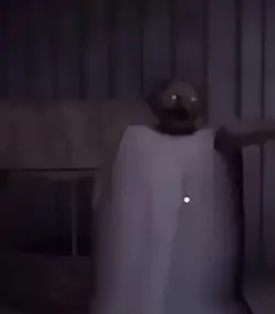 Granny Fancam