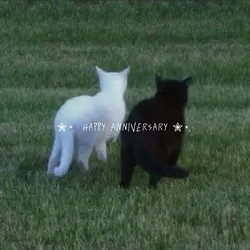 Happy anniversary