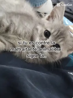 Maltraitance Animale