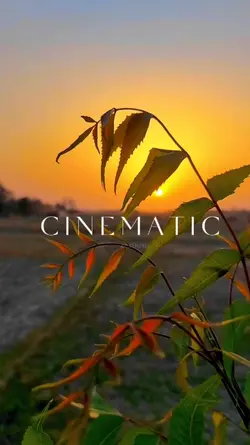 CINEMATIC AESTHETIC 