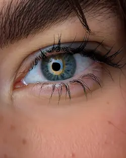 IA Eyes Zoom 