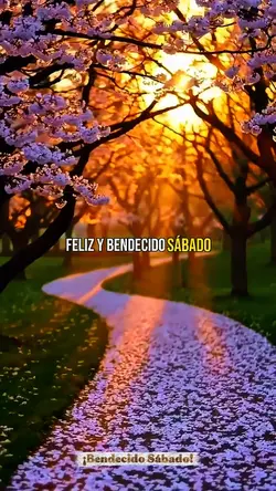 Bendecido Sábado 