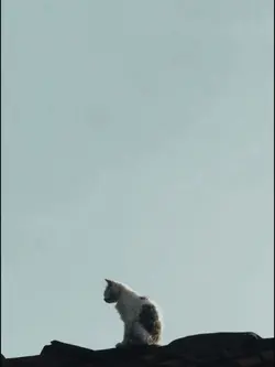 Sad song 