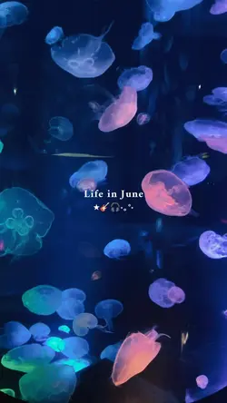 Life in June 2025