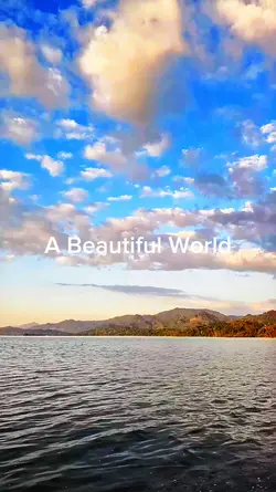A Beautiful World