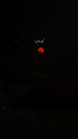 Sher Ost 