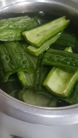 ampalaya