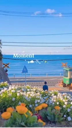 Moment aesthetic