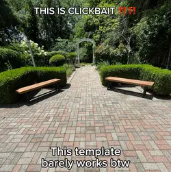 BUCCIARATI ‼️‼️