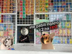 C2  Meme Trend