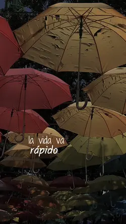 La vida va rápido ✨