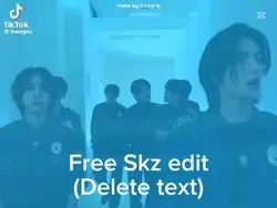 Free Skz edit