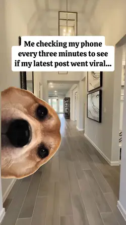 me checking my phone