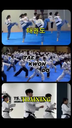 Taekwondo Poom