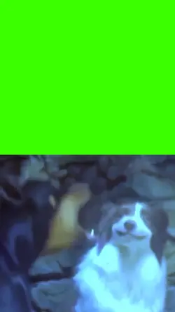 dog smile meme