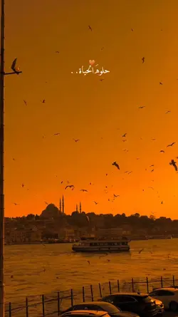 سلو مو شن