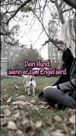 Hund Engel Vorlage