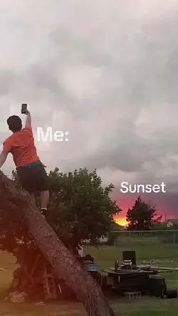 sunset