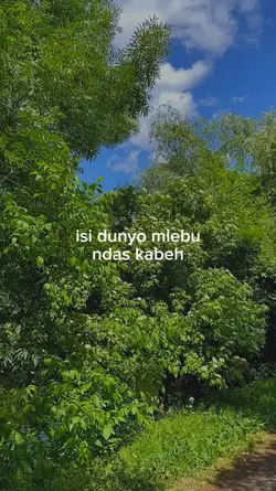 Story Jawa Lucu