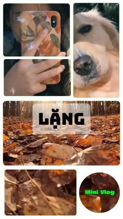 Lặng