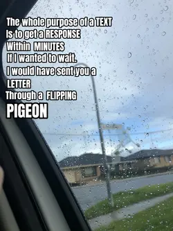 REPLY 