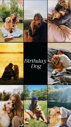 Birthday Dog 