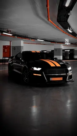 Araba edit (Mustang)