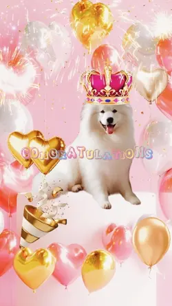 Congratulations!