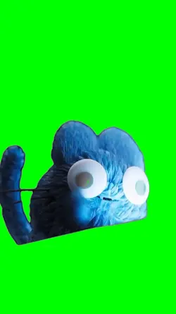 pussy