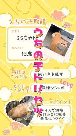 うちの子トリセツ⭐️2clip