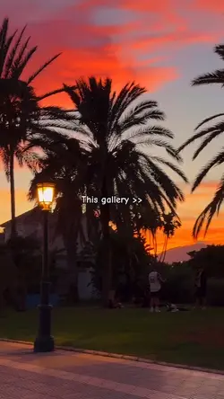 This gallery 