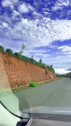 Thu Trần 0381